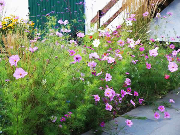 Ballylagan Organic Farm Apartment