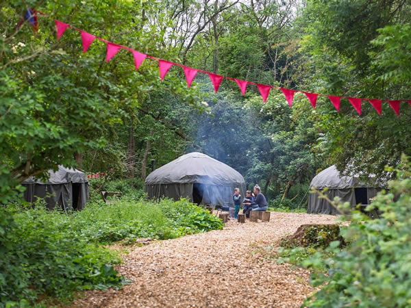 Four Yurt Eco Camp