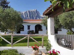 Organic Holidays - Agriturismo Guthiddai, Localita Guthiddai, 08025 Oliena. 