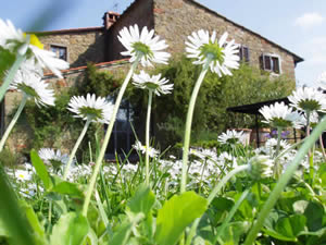 Organic Holidays - Agriturismo Poggio Pratelli, Via Borri 8, 50064 Incisa Val d'Arno [FI]. 