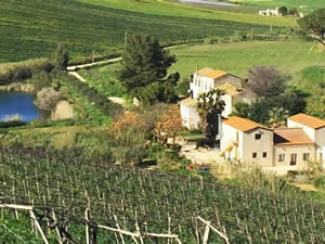 Organic Holidays - Organic Farm Agriturismo Tarantola, Contrada Tarantola 140/b, 90011 Alcamo [TP]. 