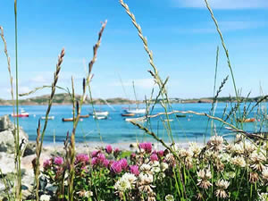 Organic Holidays - Argyll Hotel, Isle of Iona, Argyll And Bute. PA76 6SJ