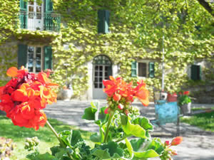 Organic Holidays - Bio Agriturismo Casanuova, Strada di Carobbio 11, 43028 Tizzano Val Parma [PR]. 