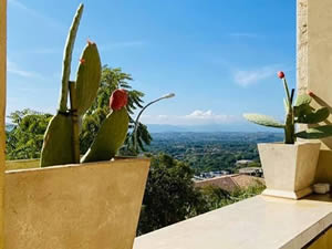 Organic Holidays - Biodinamica Palazzo Tronconi, Via Corte Vecchia 44, 03032 Arce [FR]. 