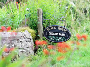 Organic Holidays - Slackhouse Bunk and Camping Barn, Slackhouse Organic Farm, Gilsland. CA8 7DB