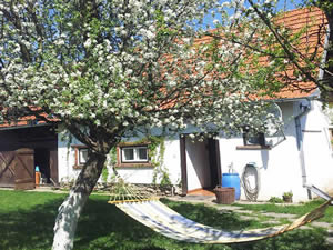 Organic Holidays - Casa Mosului, Strada Ghetii nr 395, Cartisoara, Sibiu 557075. 
