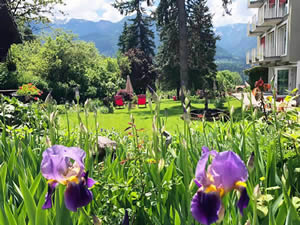 Organic Holidays - Park Hotel Azalea, via delle Cesure 1, 38038 Cavalese [TN]. 