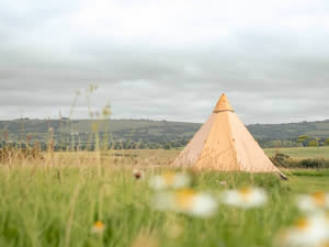 Organic Holidays - Haddon Copse Farm Camping, Woodrow, Fifehead Neville. DT10 2AQ