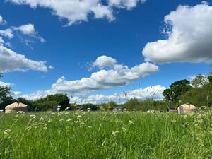 Organic Holidays - Helen Browning�s Yurts, Botswicky Copse, Bishopstone. SN6 8PA