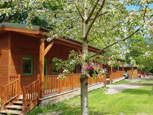 Organic Holidays - Marcassie Farm Lodges, Rafford, Forres. IV36 2RH