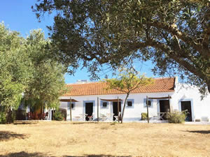 Organic Holidays - Monte da Casteleja Turismo Rural, Monte da Casteleja, 8600 317 Lagos. 