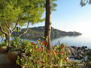 Organic Holidays - Nobelos Seaside Lodge, Agios Nikolaos, 29091 Zakynthos. 