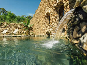 Organic Holidays - Podere La Cerreta, via Campagna Sud 143, 57020 Sassetta [LI]. 