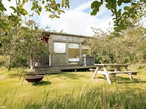 Organic Holidays - Retreat Hut, Haddon Copse Farm, Woodrow, Fifehead Neville. DT10 2AQ