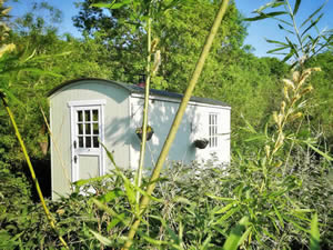 Organic Holidays - Rocombe Valley Retreat Shepherds Hut, Springfields Farm, Lower Rocombe. TQ12 4QL
