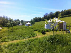 Organic Holidays - Rocombe Valley Retreat Yurts, Springfields Farm, Lower Rocombe. TQ12 4QL