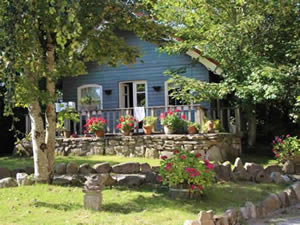 Organic Holidays - Slieve Aughty Centre Eco Lodges, Kylebrack West, Loughrea. H62 DX77