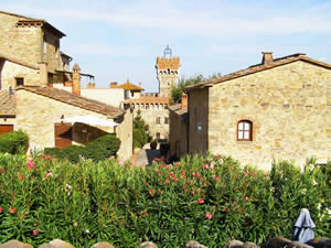 Organic Holidays - Tenuta Lupinari Apartments, Loc Lupinari, 52021 Bucine [AR]. 