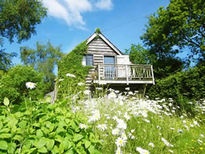 Organic Holidays - The Gorfanc Hideaway, Carno, Caersws. SY17 5JP