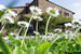 Organic Holidays - Agriturismo Poggio Pratelli, Via Borri 8, 50064 Incisa Val d'Arno [FI]. 