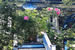 Organic Holidays - Ashby House Bed and Breakfast, 989 Bute Street, Vancouver [BC]. V6E 1Y7