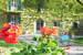 Organic Holidays - Bio Agriturismo Casanuova, Strada di Carobbio 11, 43028 Tizzano Val Parma [PR]. 