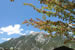 Organic Holidays - Biohotel Leutascherhof, Weidach 305, 6105 Leutasch. 