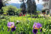 Organic Holidays - Park Hotel Azalea, via delle Cesure 1, 38038 Cavalese [TN]. 