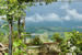 Organic Holidays - Locanda Casanuova, San Martino Altoreggi 52, 50063 Figline Valdarno [FI]. 