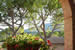 Organic Holidays - Agriturismo La Badiola, Loc Giovancorso, 53043 Chiusi [SI]. 